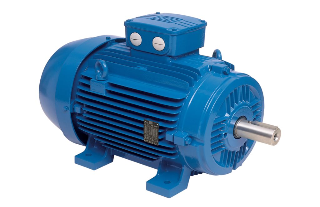 Motor điện 3 pha WEG