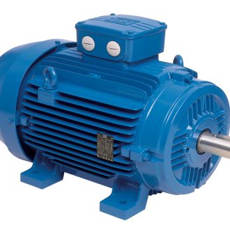 Motor điện 3 pha WEG