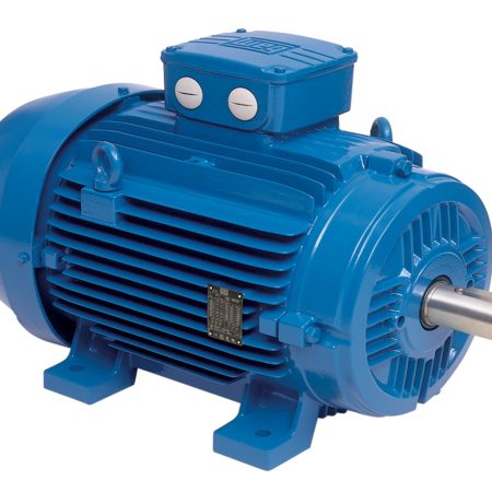 Motor điện 3 pha WEG