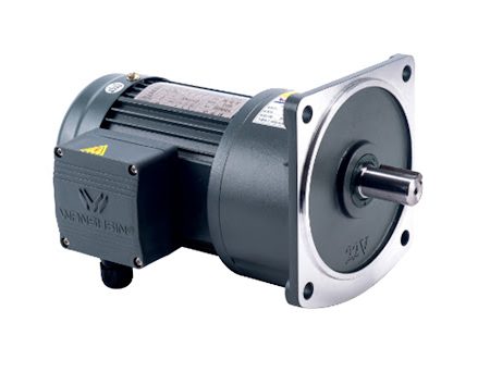 Motor giảm tốc Wanshsin