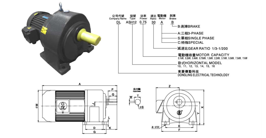 Cấu tạo motor giảm tốc Dolin
