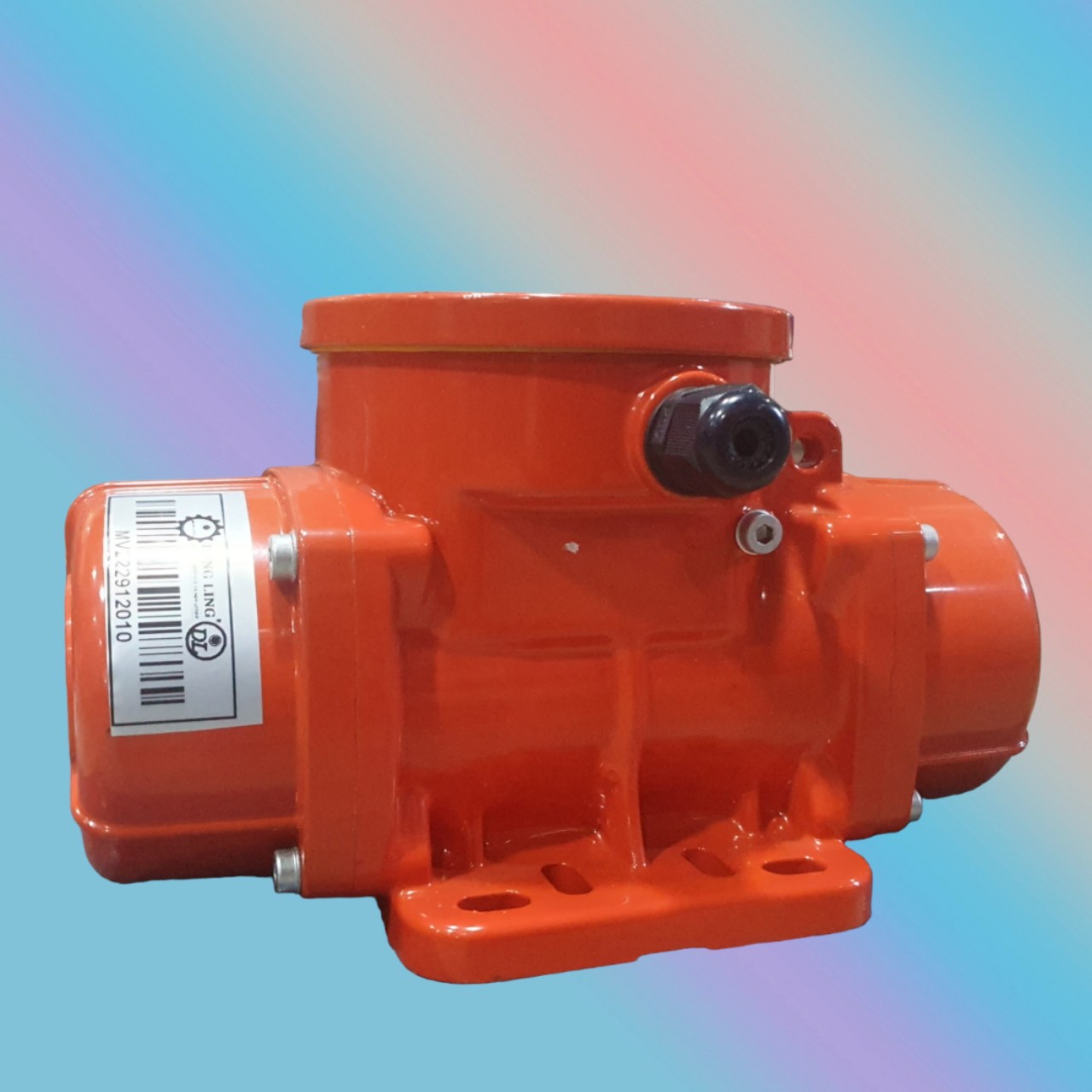 Cấu tạo nguyên lý hoạt động của motor rung