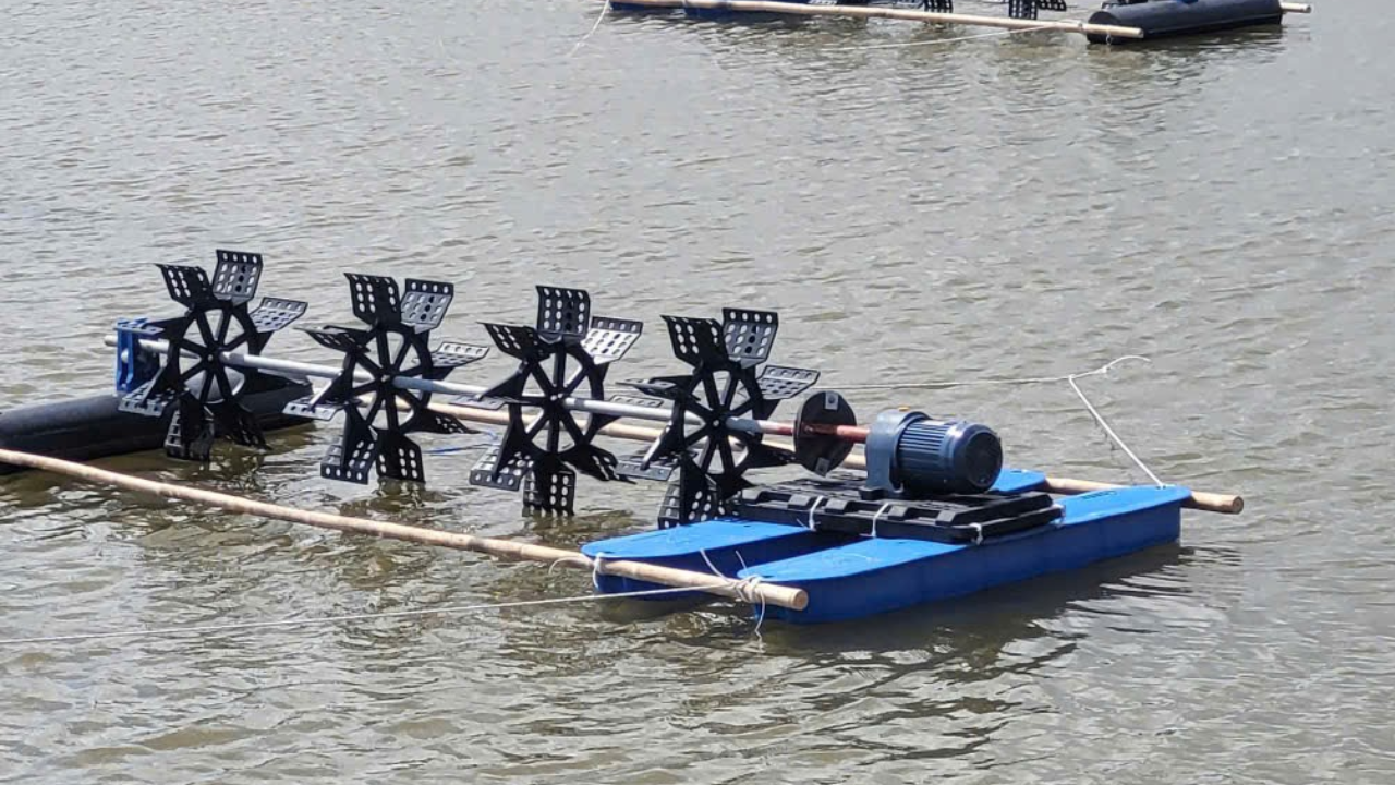 Motor Giảm Tốc Cho Quạt Oxy Giải Pháp Tối Ưu Chi Phí